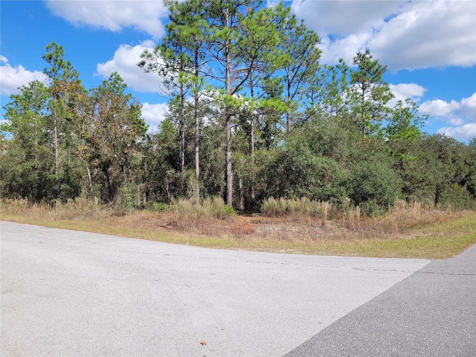 Image 5 of 13 For 0 Tamiami Pl