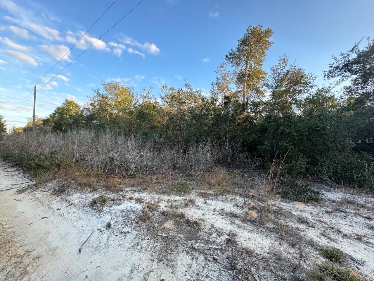 Details for 0 236th Place, FORT MC COY, FL 32134