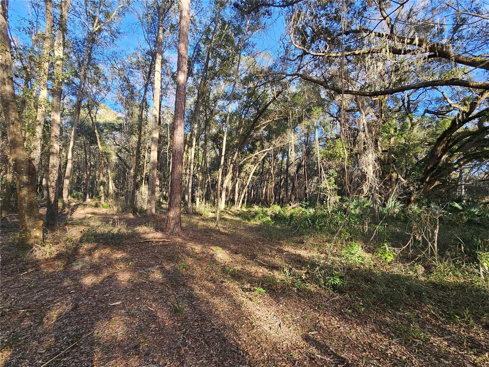 Image 16 of 32 For 95th Street Road