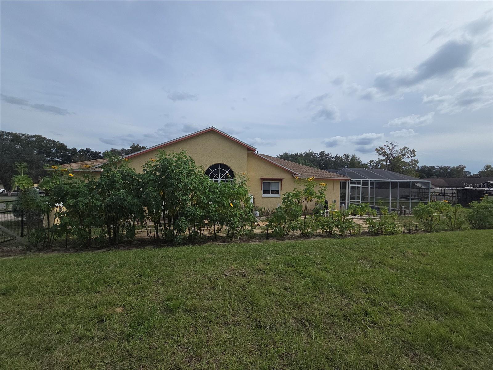 Image 74 of 96 For 567 Silver Course Run