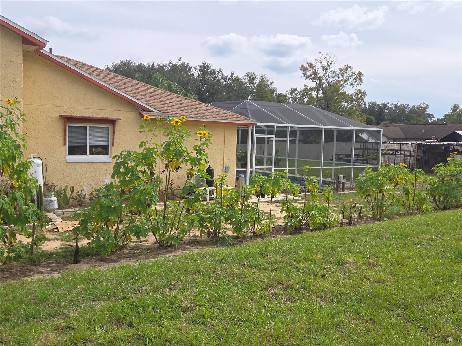 Image 75 of 96 For 567 Silver Course Run