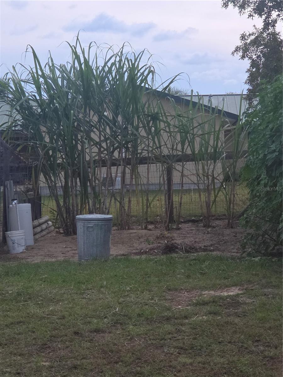 Image 90 of 96 For 567 Silver Course Run