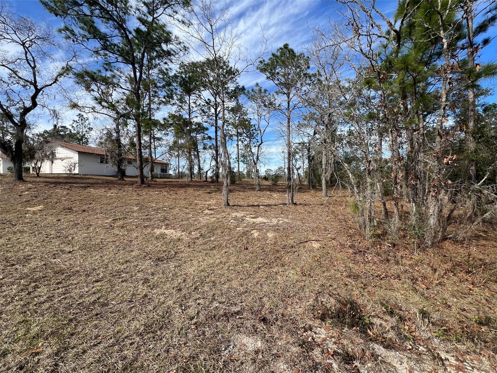 Details for 000 S Country Club Drive, WILLISTON, FL 32696