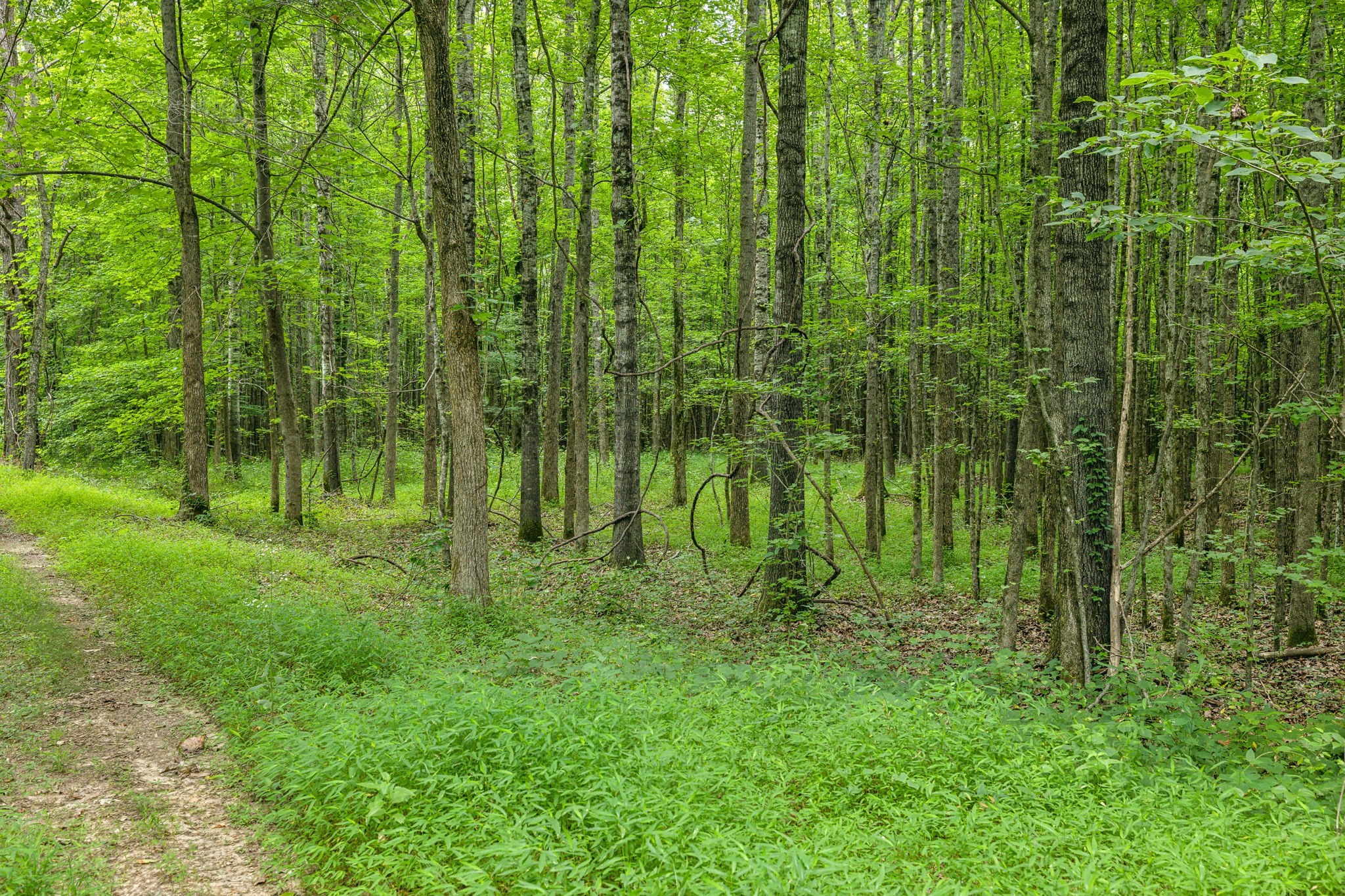 Image 16 of 70 For 0 Off Federal Road