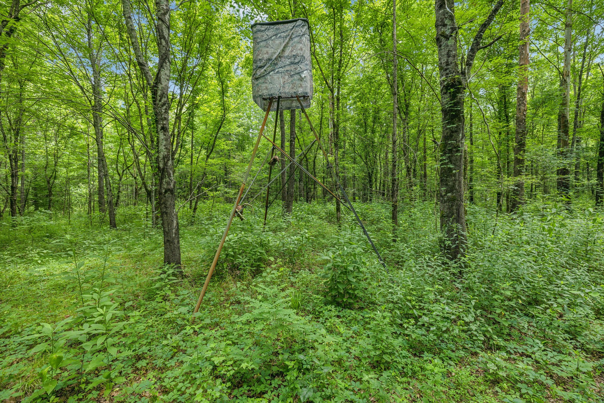 Image 19 of 70 For 0 Off Federal Road