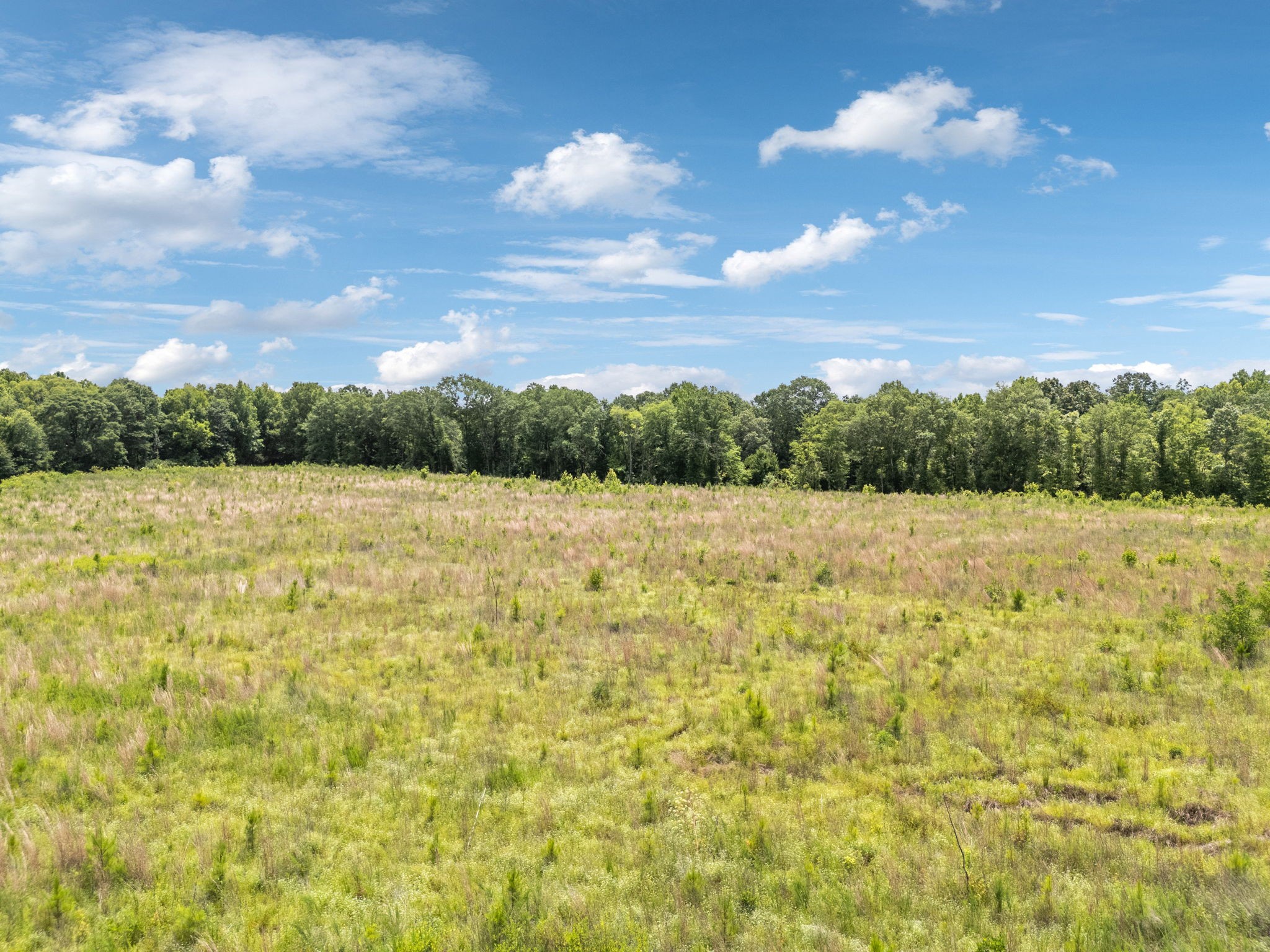 Image 49 of 70 For 0 Off Federal Road