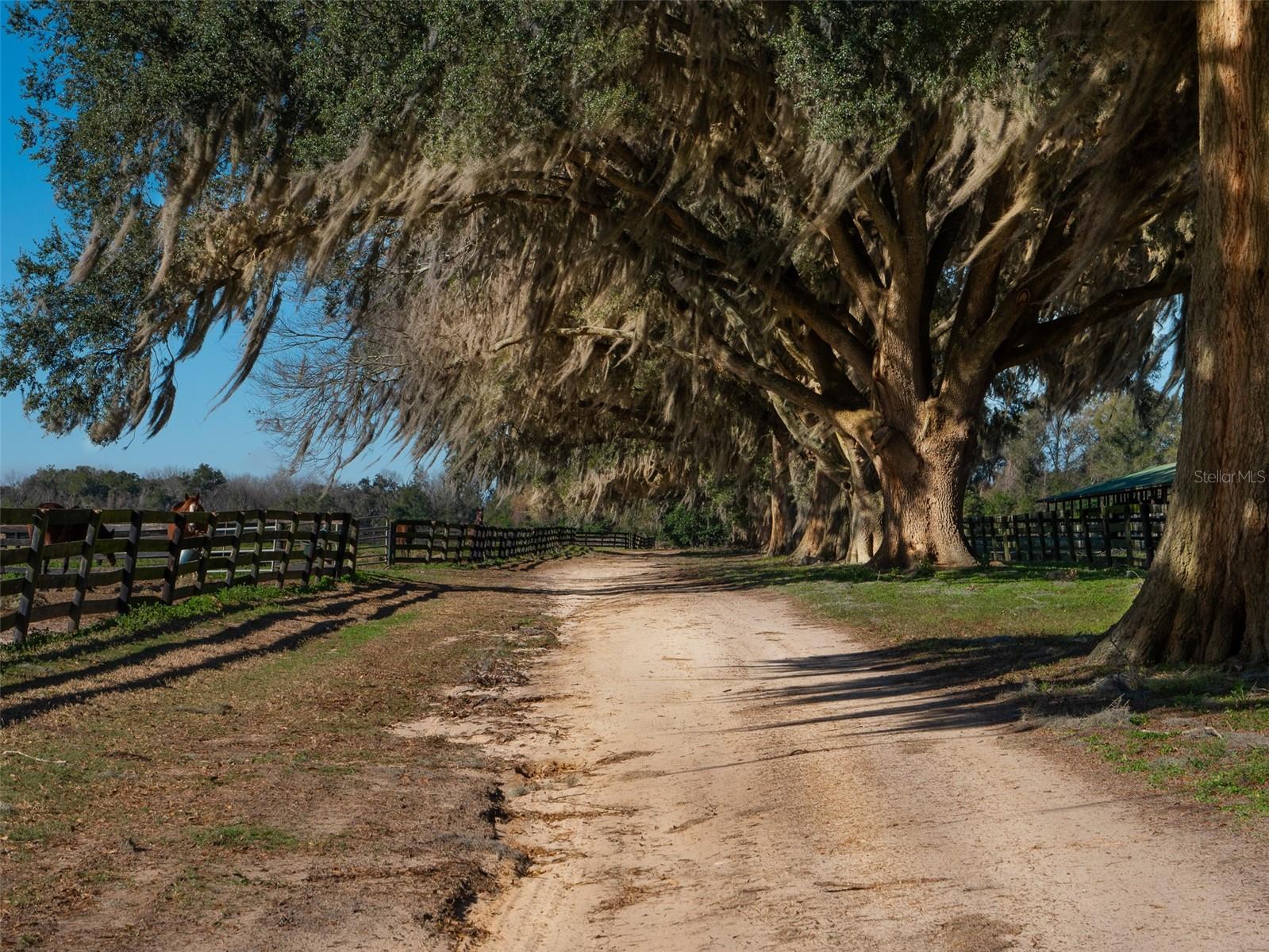 Image 3 of 17 For 14130 Us Highway 301