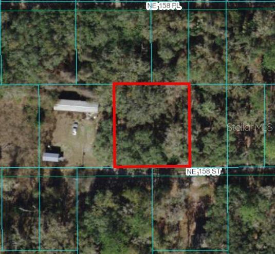 Details for 00 158th Street, FORT MC COY, FL 32134