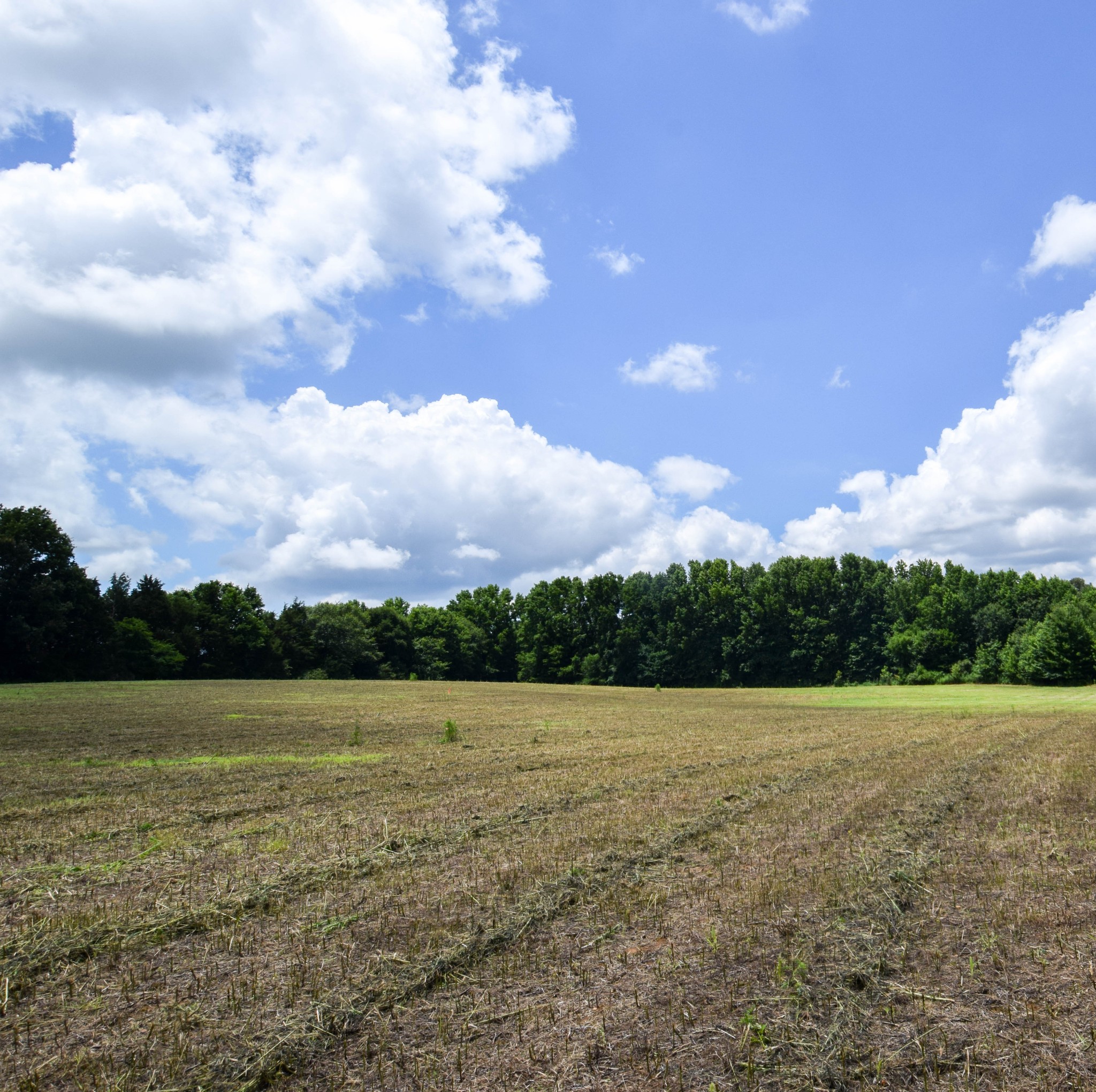 Image 6 of 29 For 11636 Osceola Road