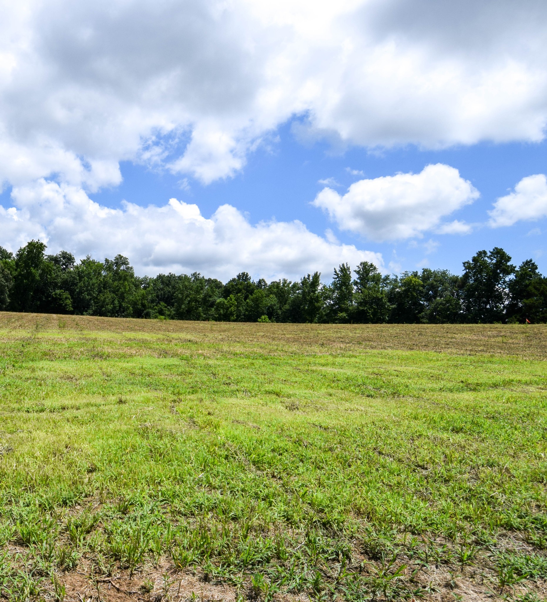 Image 8 of 29 For 11636 Osceola Road