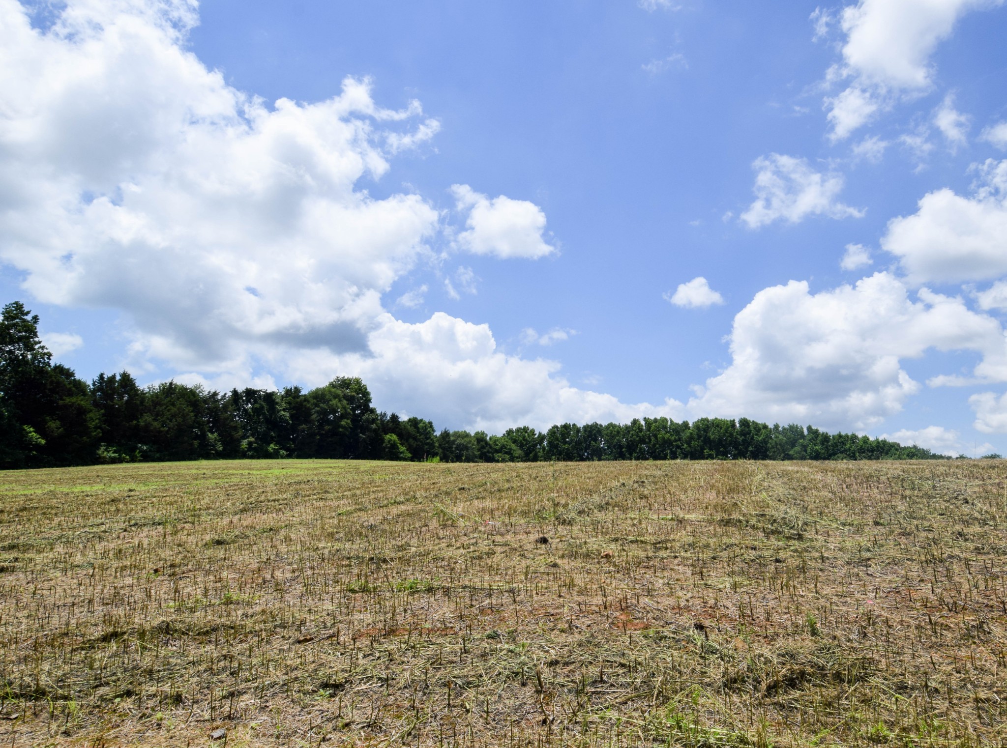 Image 9 of 29 For 11636 Osceola Road