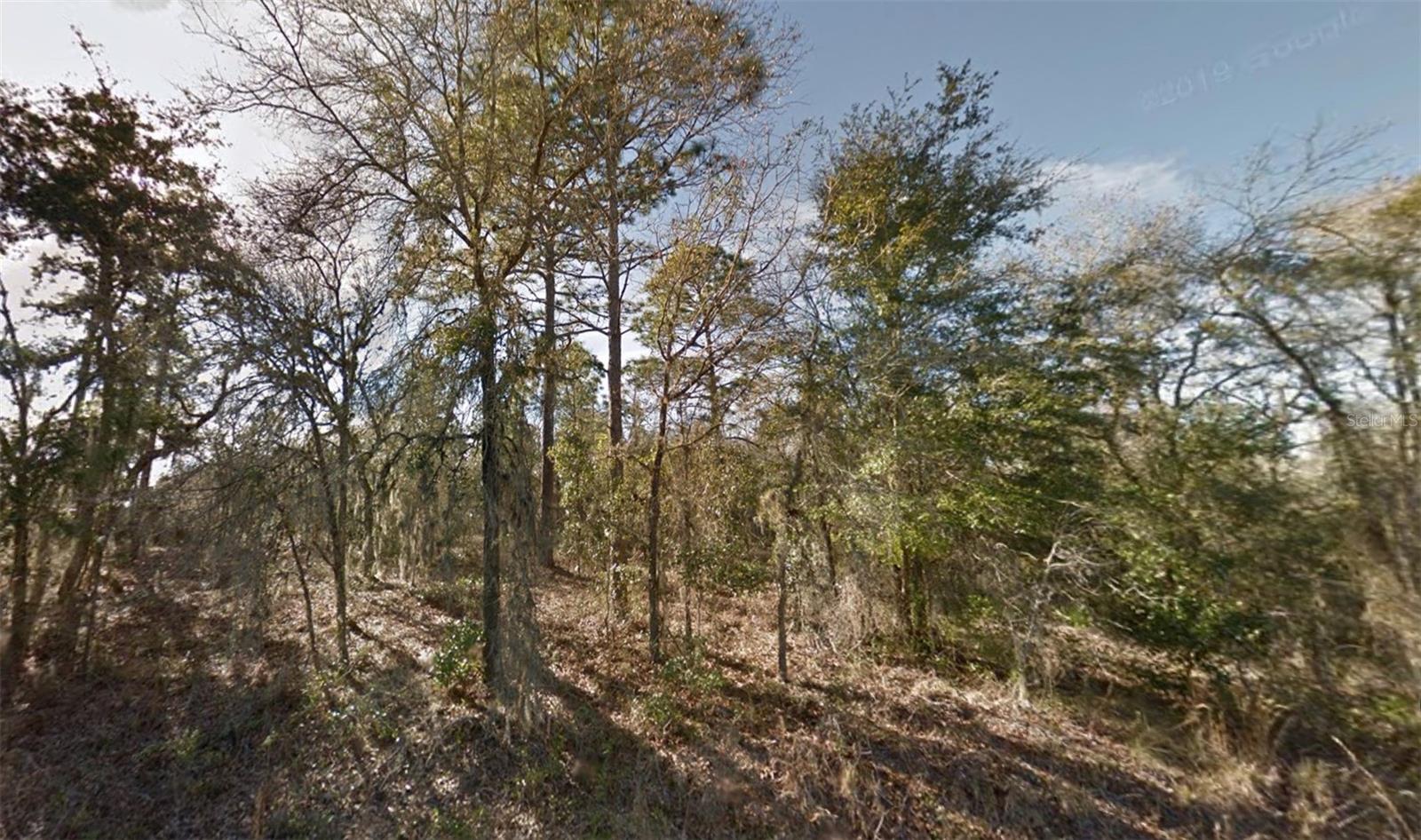 Details for 00 122nd Avenue, WILLISTON, FL 32696