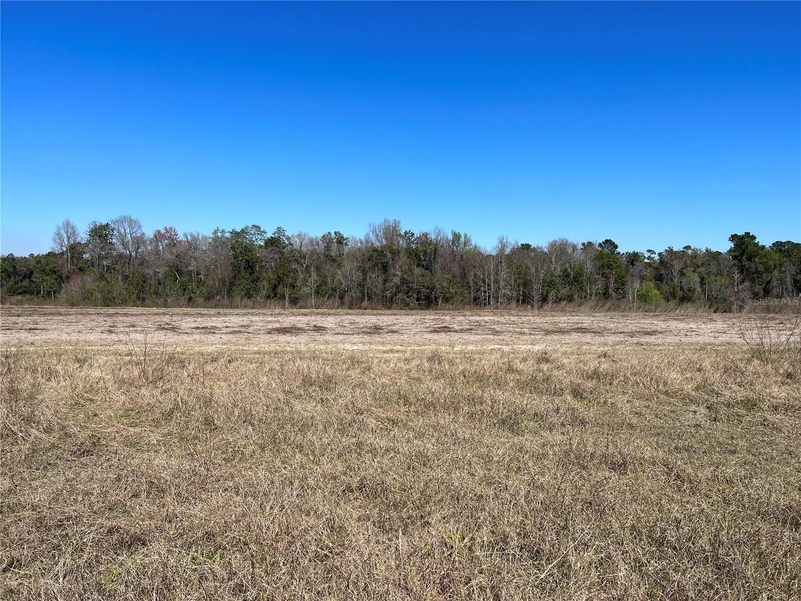 Details for Lot 4b Hwy 318, FORT MC COY, FL 32134