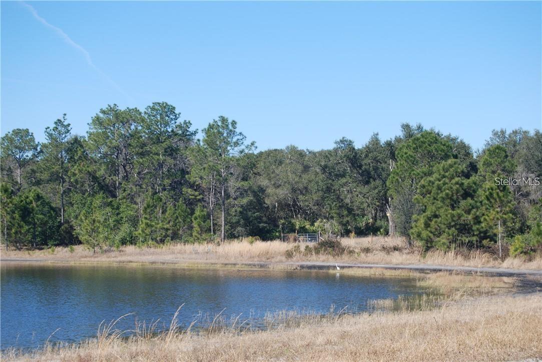 Listing Details for 0 Fisher Pass Lot 5, OCKLAWAHA, FL 32179