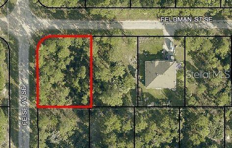 Listing Details for 00 Feldman Street Se, PALM BAY, FL 32909