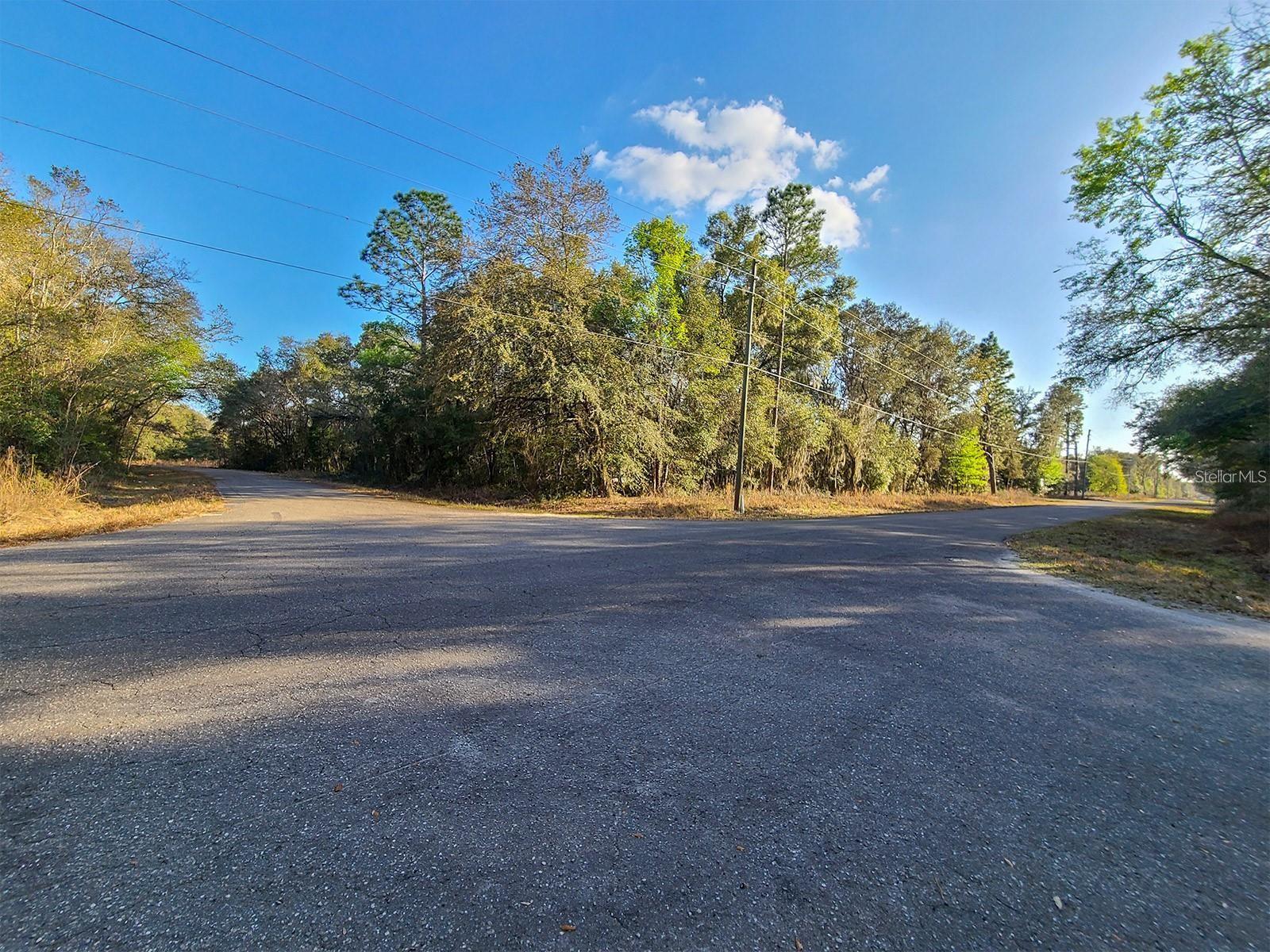 Details for 00 Guava Lane Track, OCKLAWAHA, FL 32179