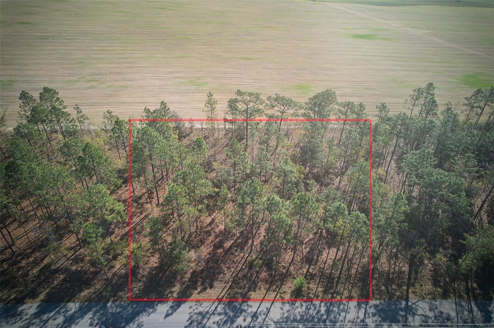 Image 1 of 18 For Lot 25,26 Buena Vista Road