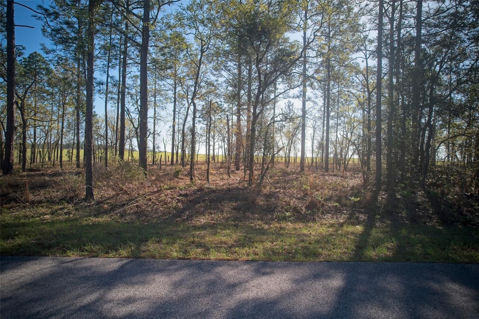 Image 5 of 18 For Lot 25,26 Buena Vista Road