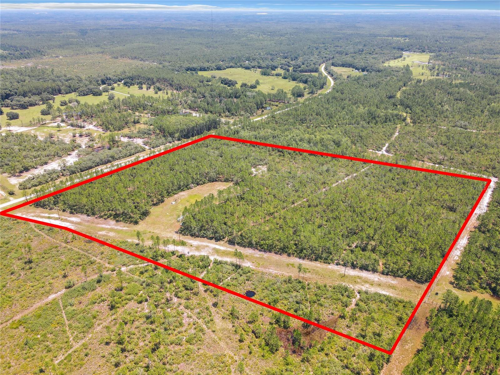 Details for Tbd Cr 326 Drive, MORRISTON, FL 32668