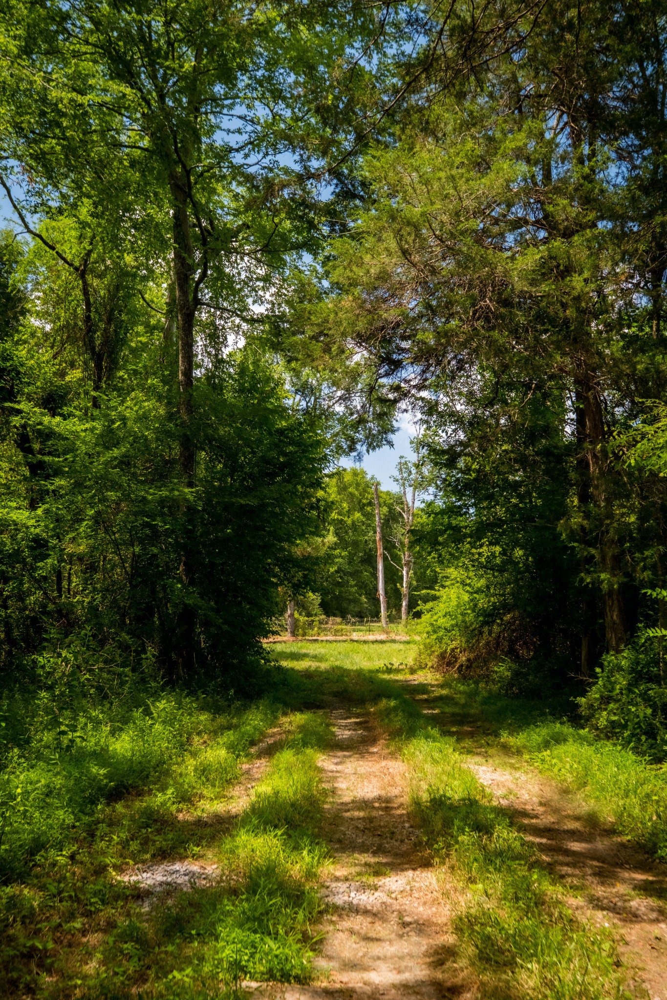 Image 15 of 32 For 0 Highway 64