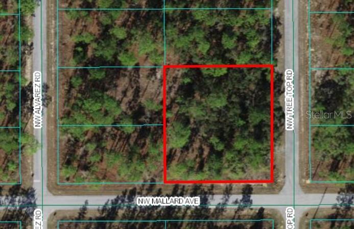 Details for 0 Treetop Road, DUNNELLON, FL 34431