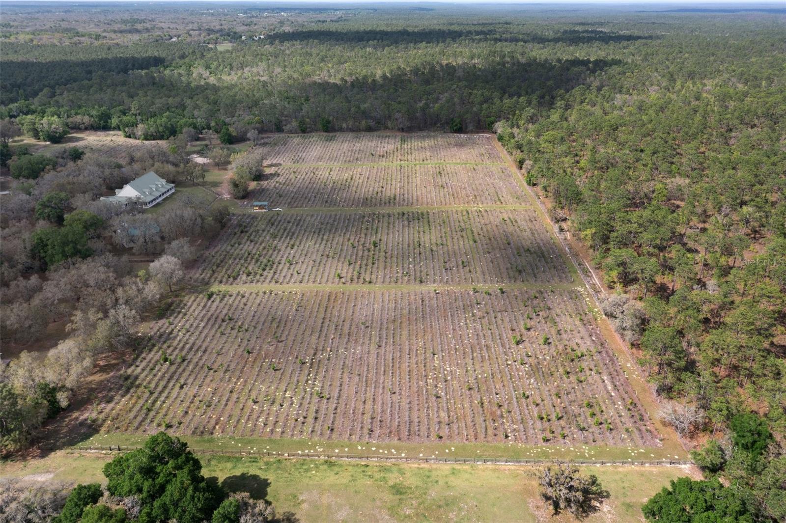 Image 8 of 99 For 8123 Lecanto Highway