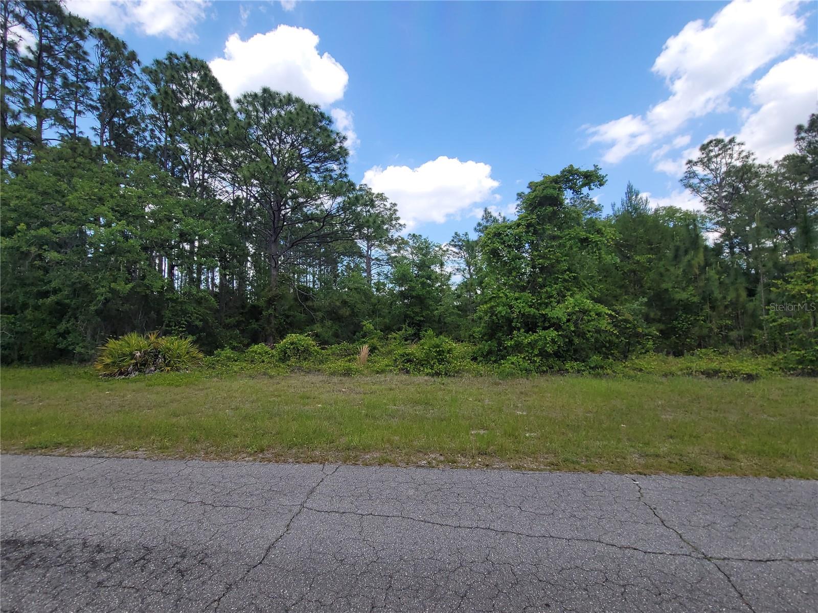 Details for Lot 14 80th Avenue, OCALA, FL 34473