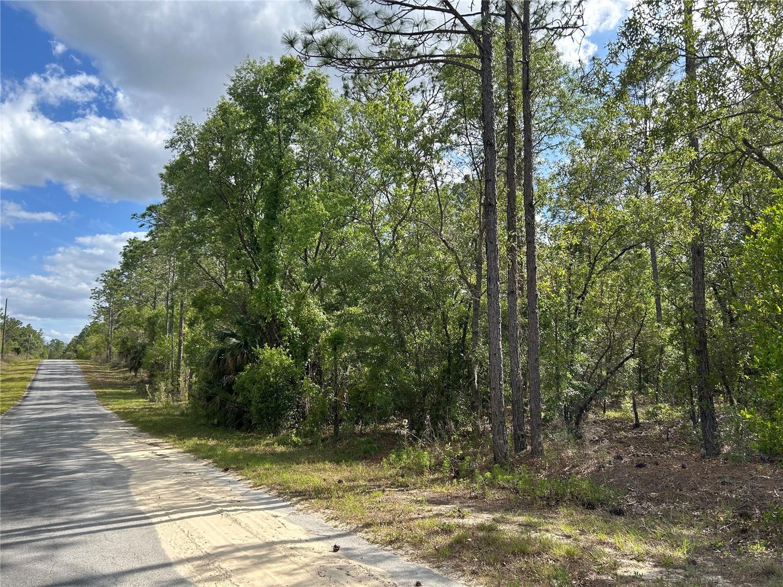 Details for 00 Redwing Road, DUNNELLON, FL 34431