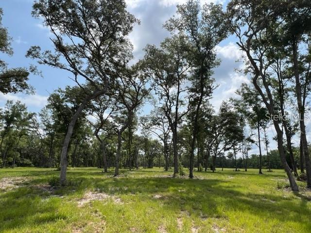 Listing Details for Tbd Nw 14th St. Jumper Lane Lot 6, OCALA, FL 34482