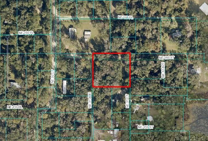 Listing Details for 160th Street, CITRA, FL 32113