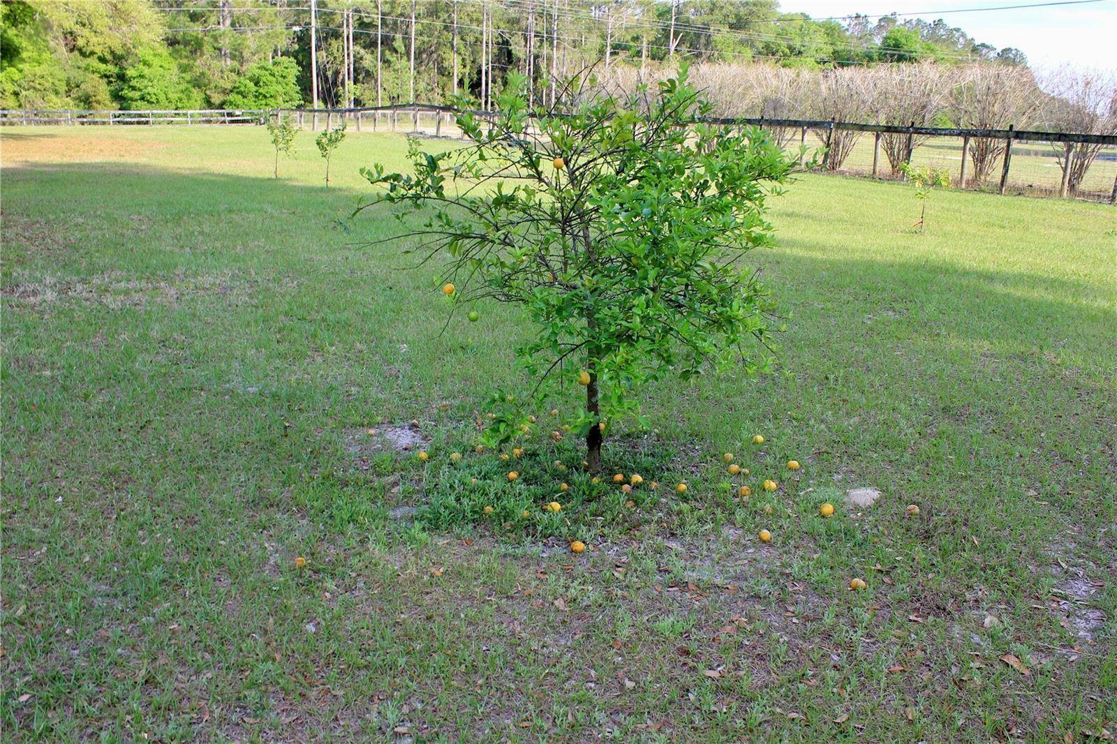 Image 66 of 99 For 3700 183rd Avenue Road