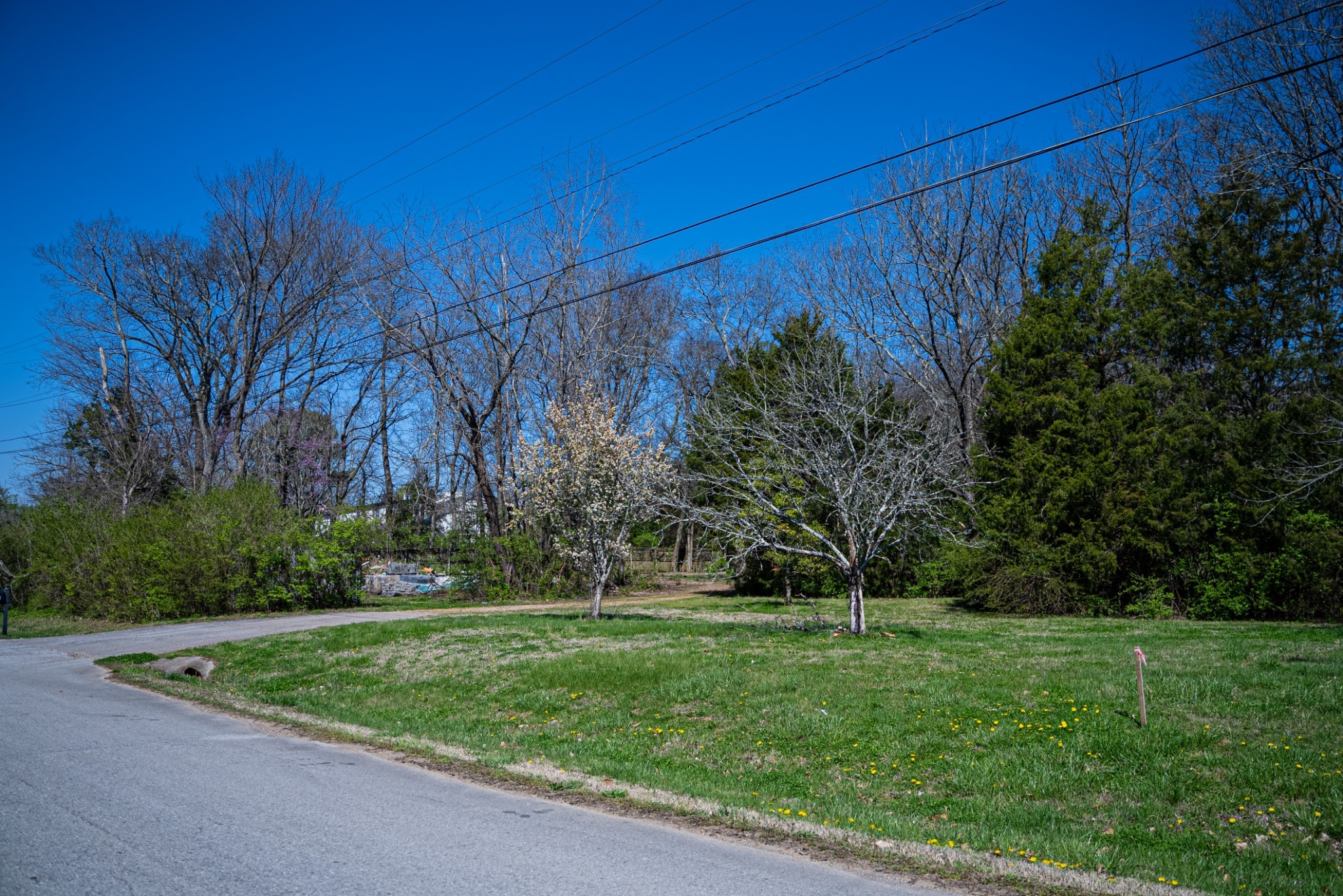 Image 8 of 17 For 00 80th Avenue