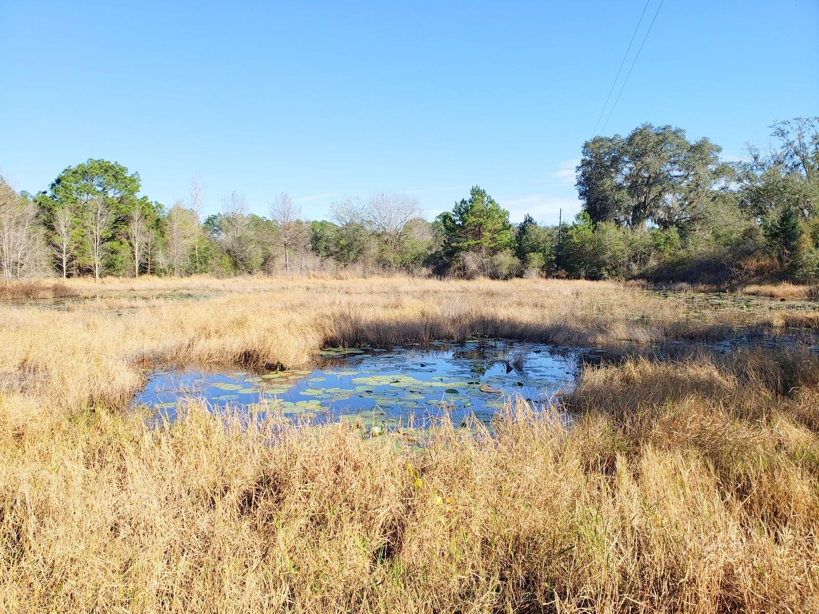 Image 9 of 13 For 13.12ac Hwy 315