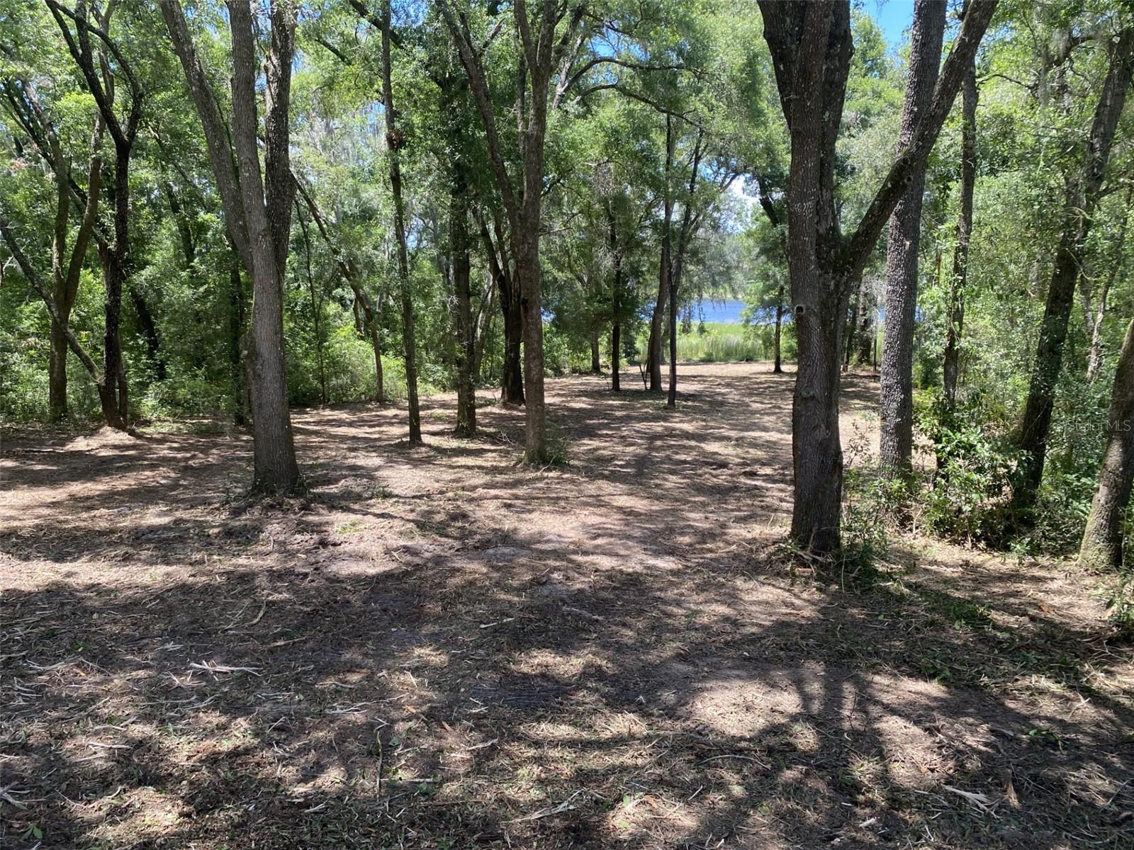 Details for Lot 163 Shorewood Drive, DUNNELLON, FL 34431