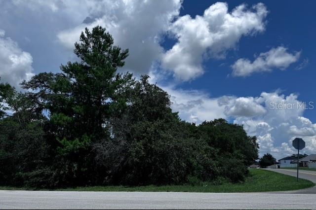 Details for Tbd 111th Place, OCALA, FL 34476