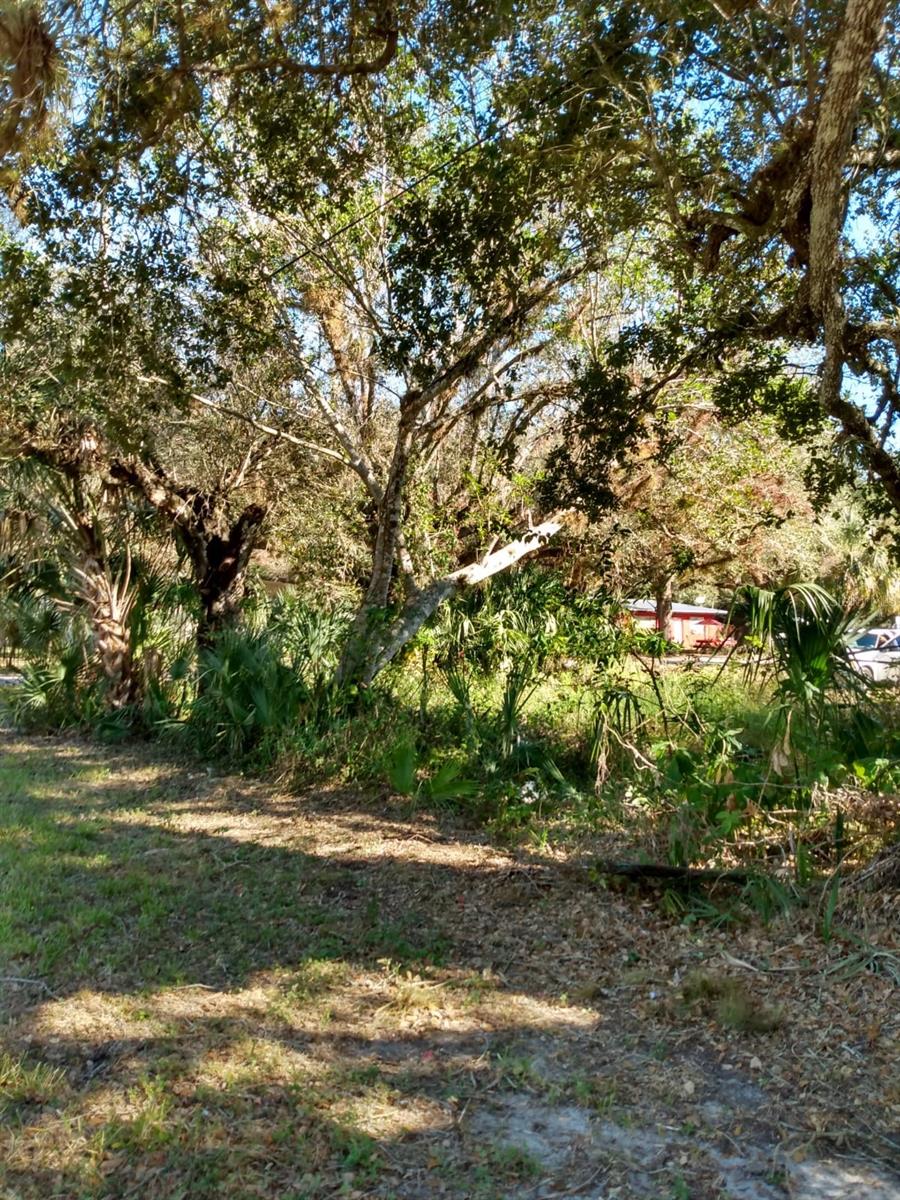 Image 7 of 12 For 871 Caloosahatchee Avenue