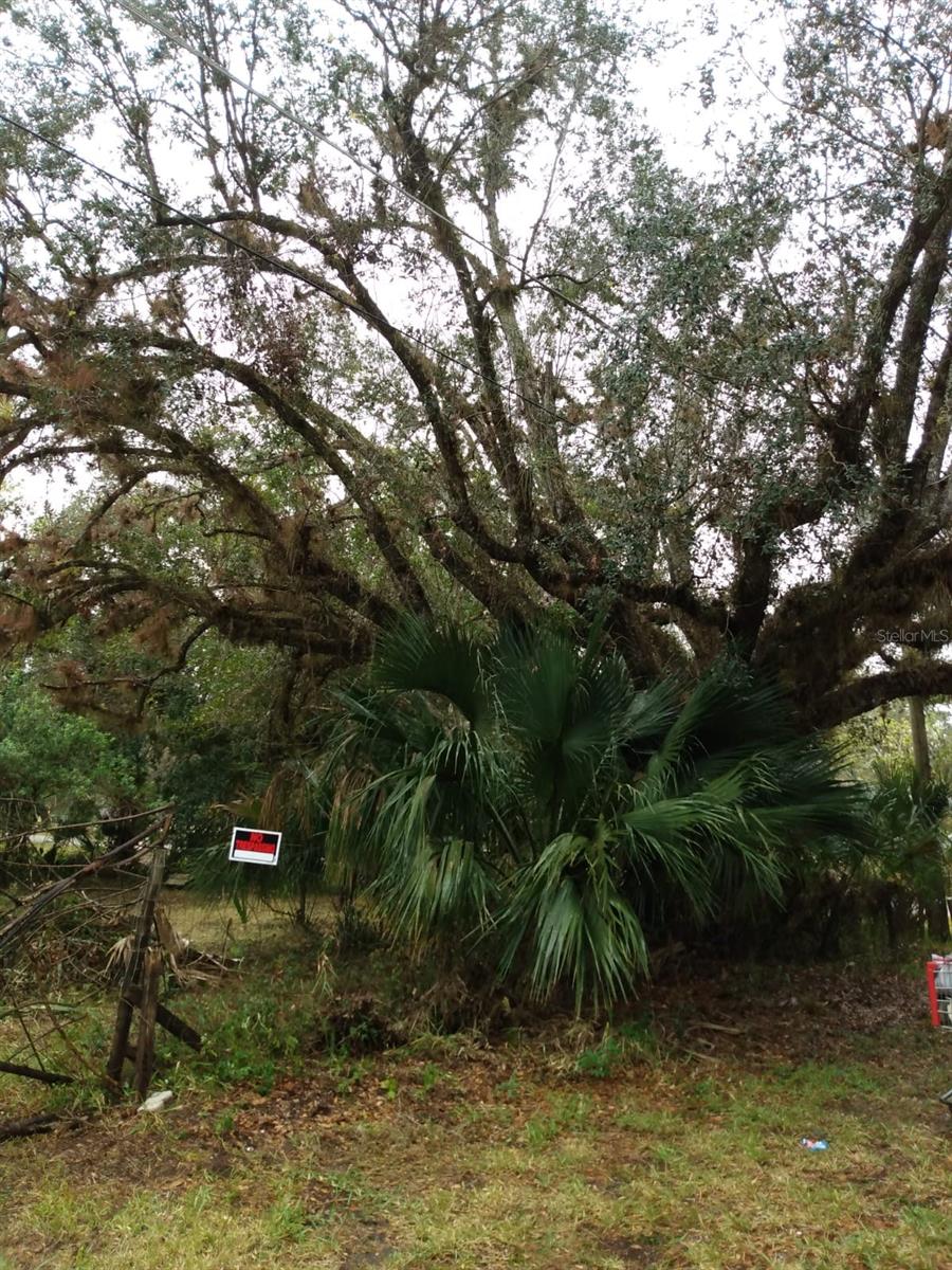 Image 9 of 12 For 871 Caloosahatchee Avenue