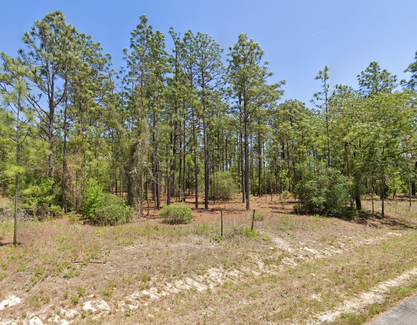 Details for Lot 8 209th Avenue, DUNNELLON, FL 34431