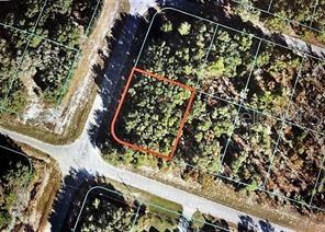 Listing Details for Tbd Malauka Radial, OCKLAWAHA, FL 32179