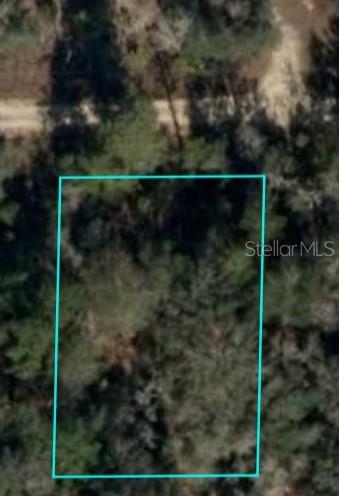 Listing Details for  64th Place , WILLISTON, FL 32696