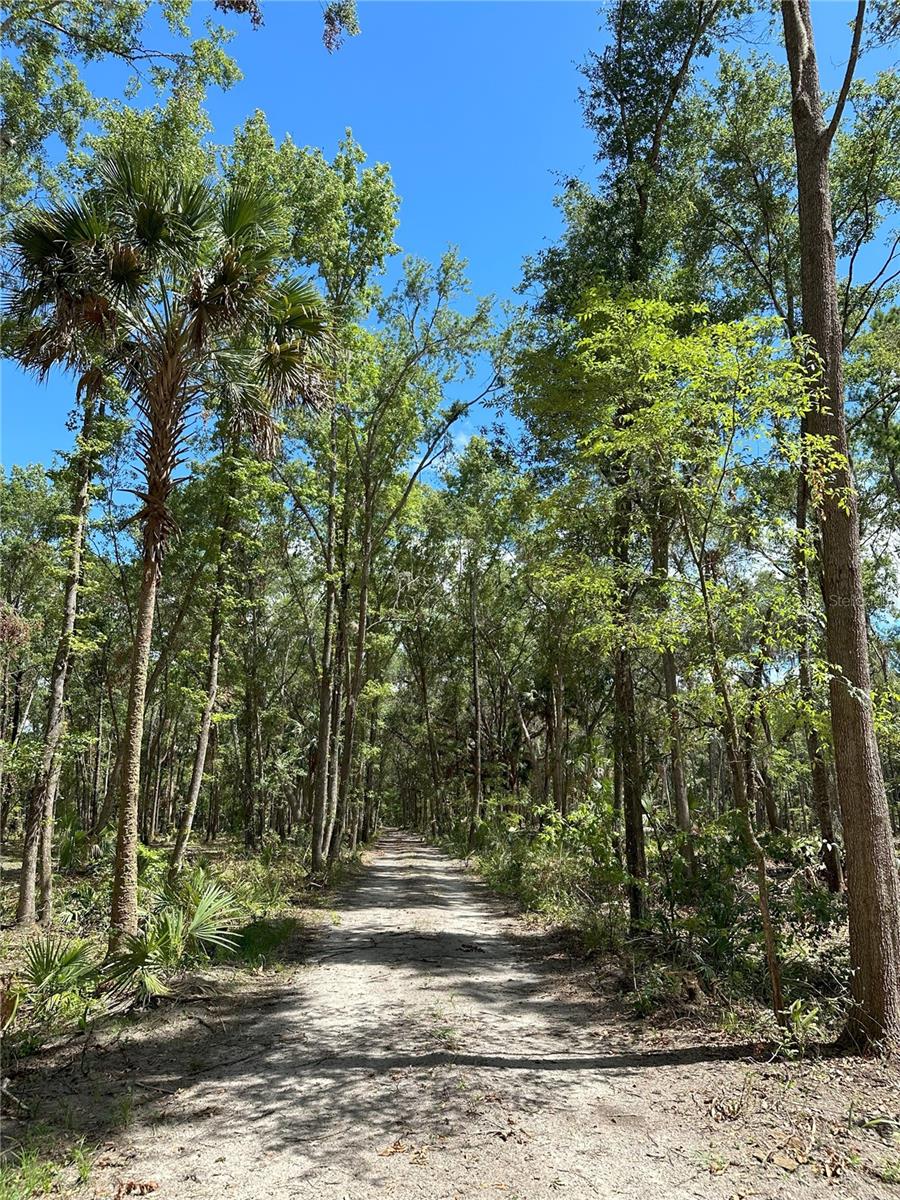 Image 8 of 19 For 225ac Nw 193rd St