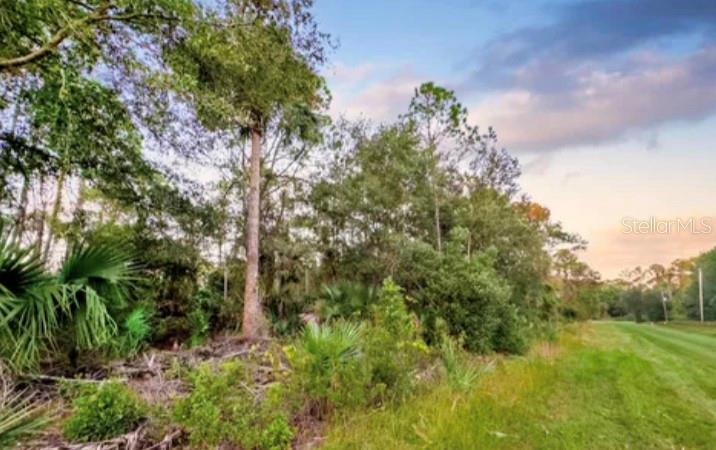 Details for 229 Laisy Drive, GEORGETOWN, FL 32139