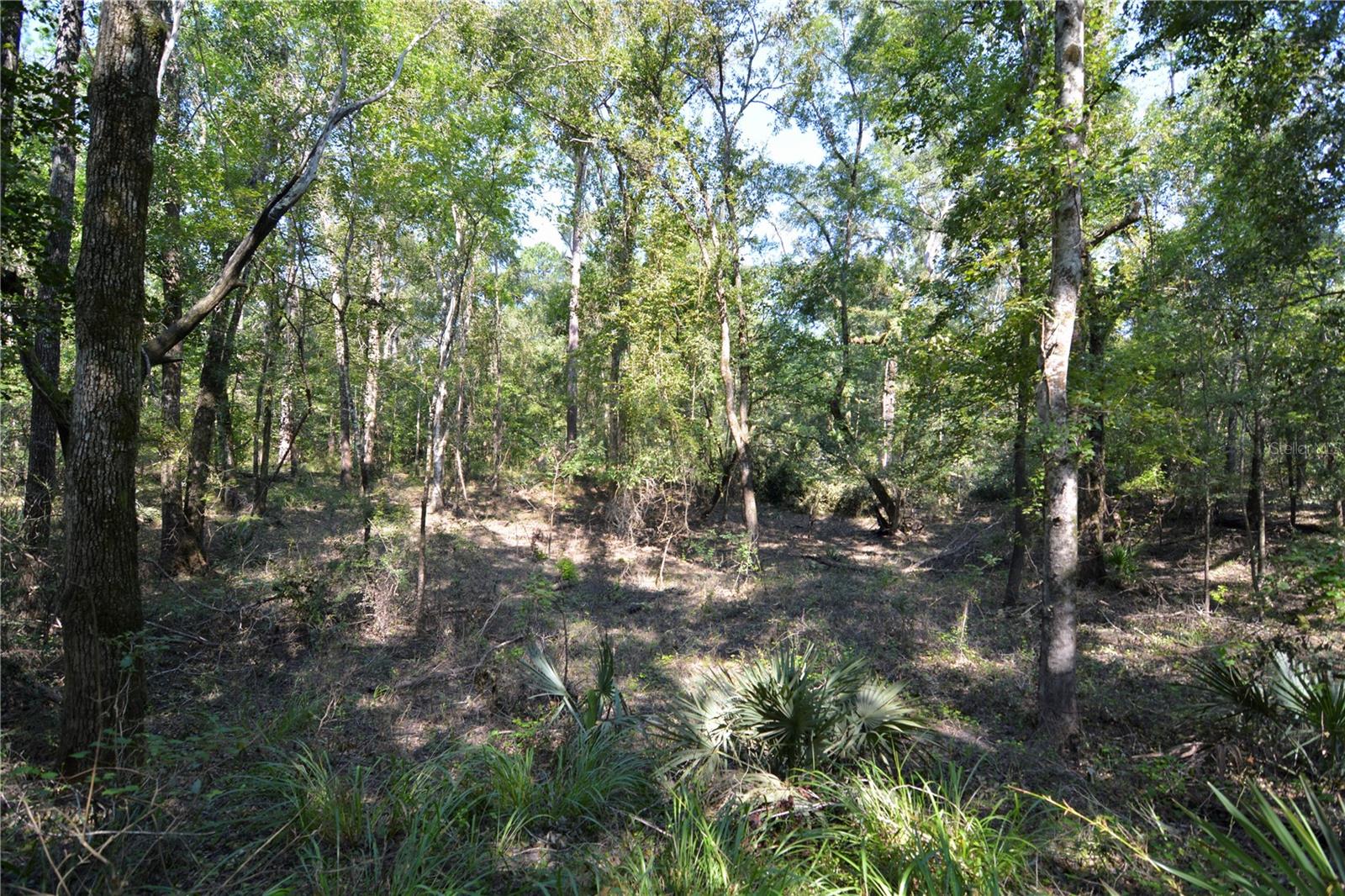 Image 11 of 61 For Fl Camp Site Road