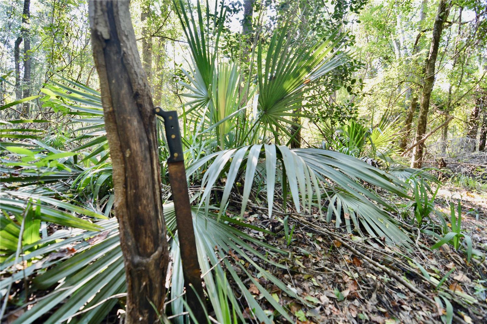 Image 8 of 61 For Fl Camp Site Road