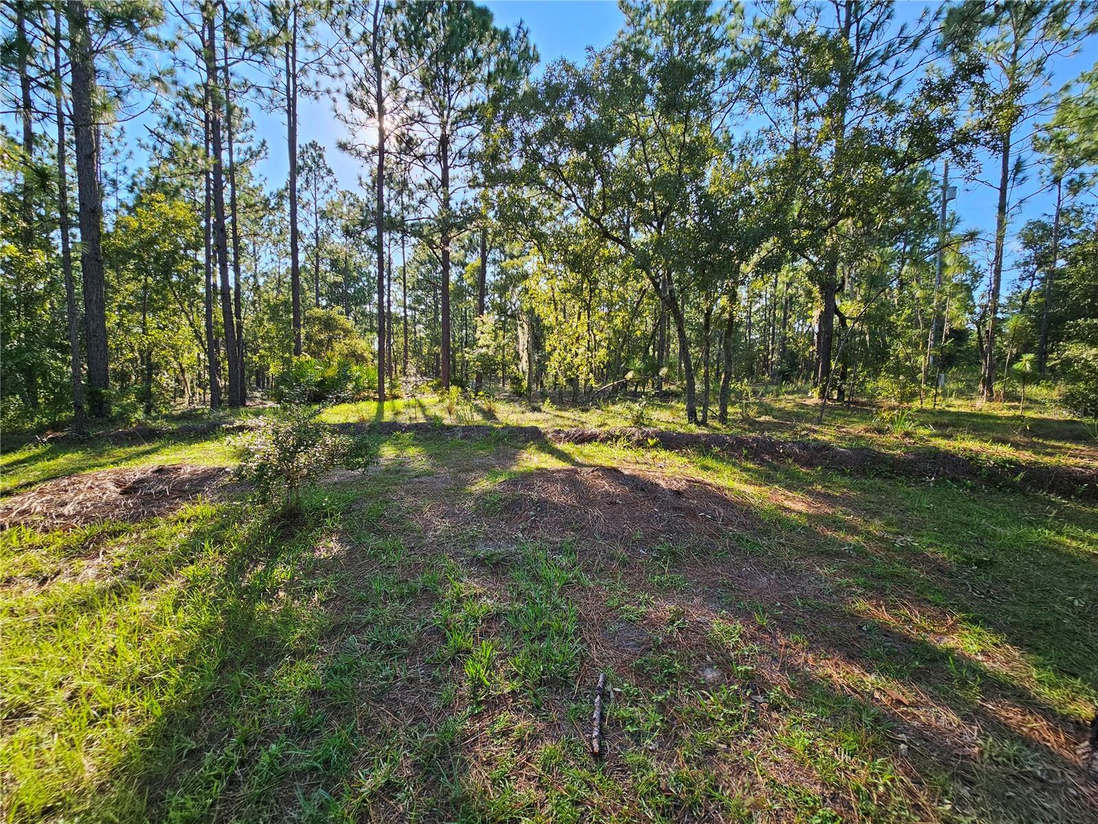 Image 8 of 82 For 9180 202nd Avenue Road