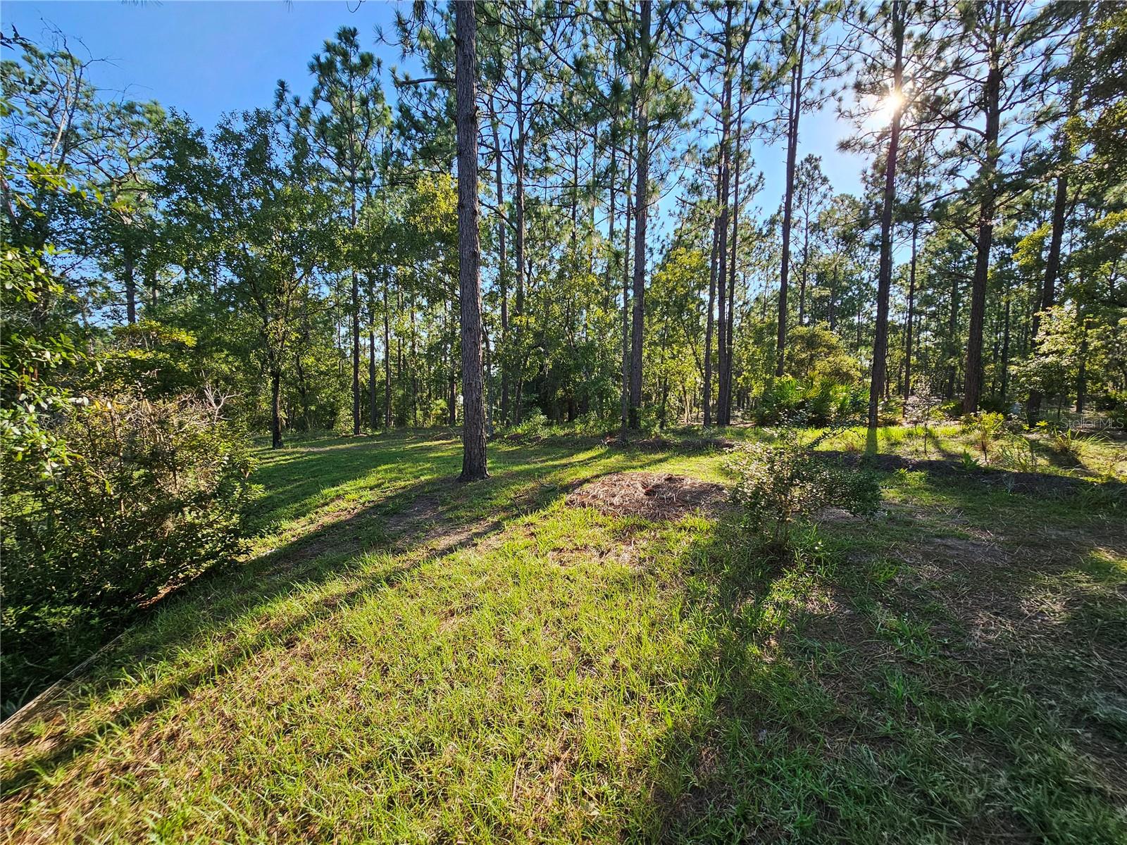 Image 9 of 82 For 9180 202nd Avenue Road