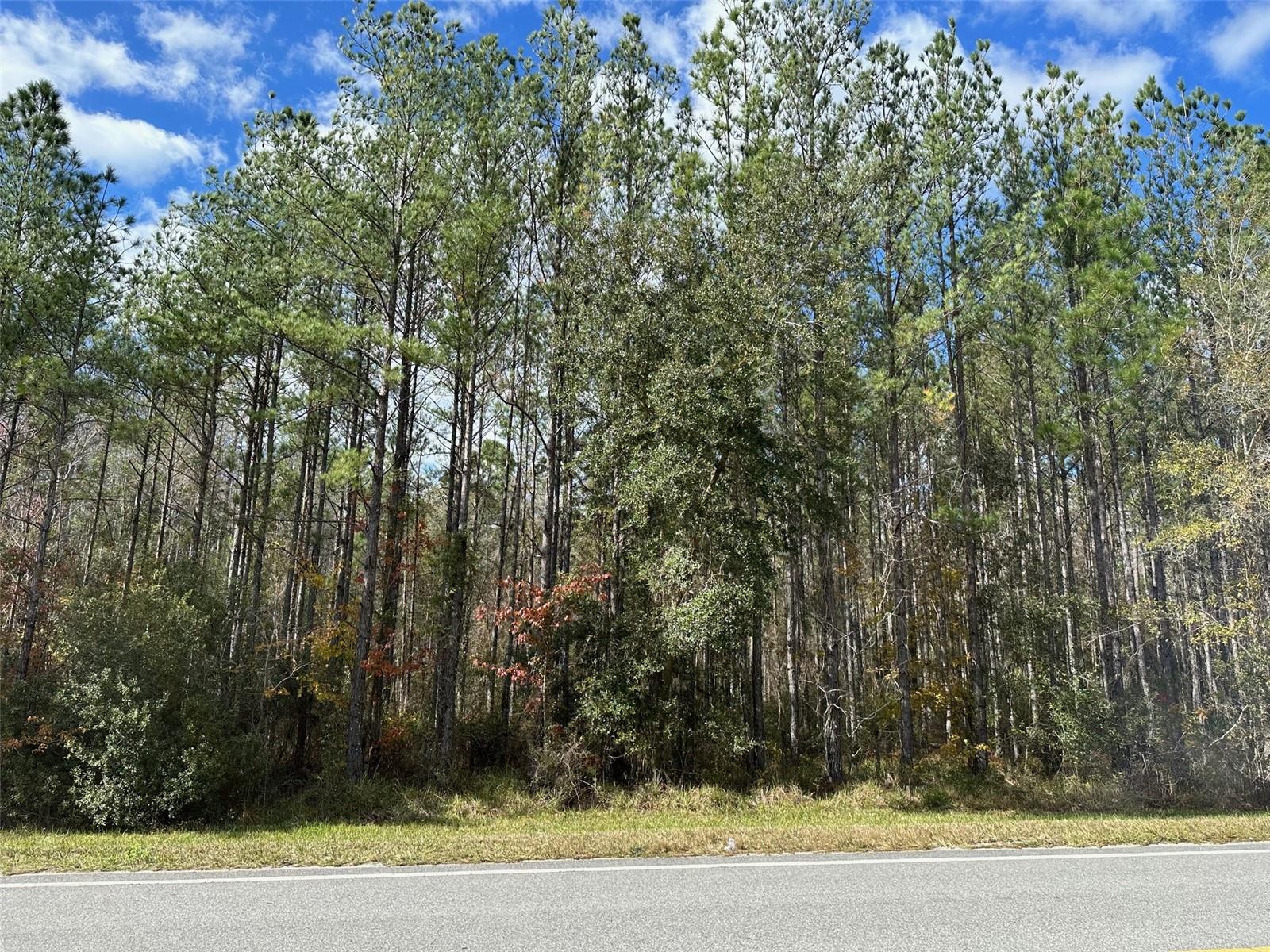 Details for Tbd Hwy 315  , FORT MC COY, FL 32134