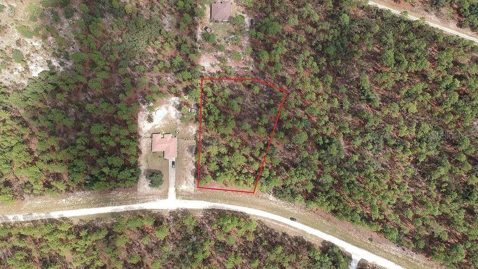 Details for  125 Sw  , OCALA, FL 34481