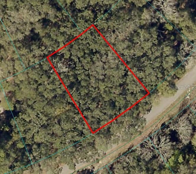 Details for Fisher Lane Ct, OCKLAWAHA, FL 32179