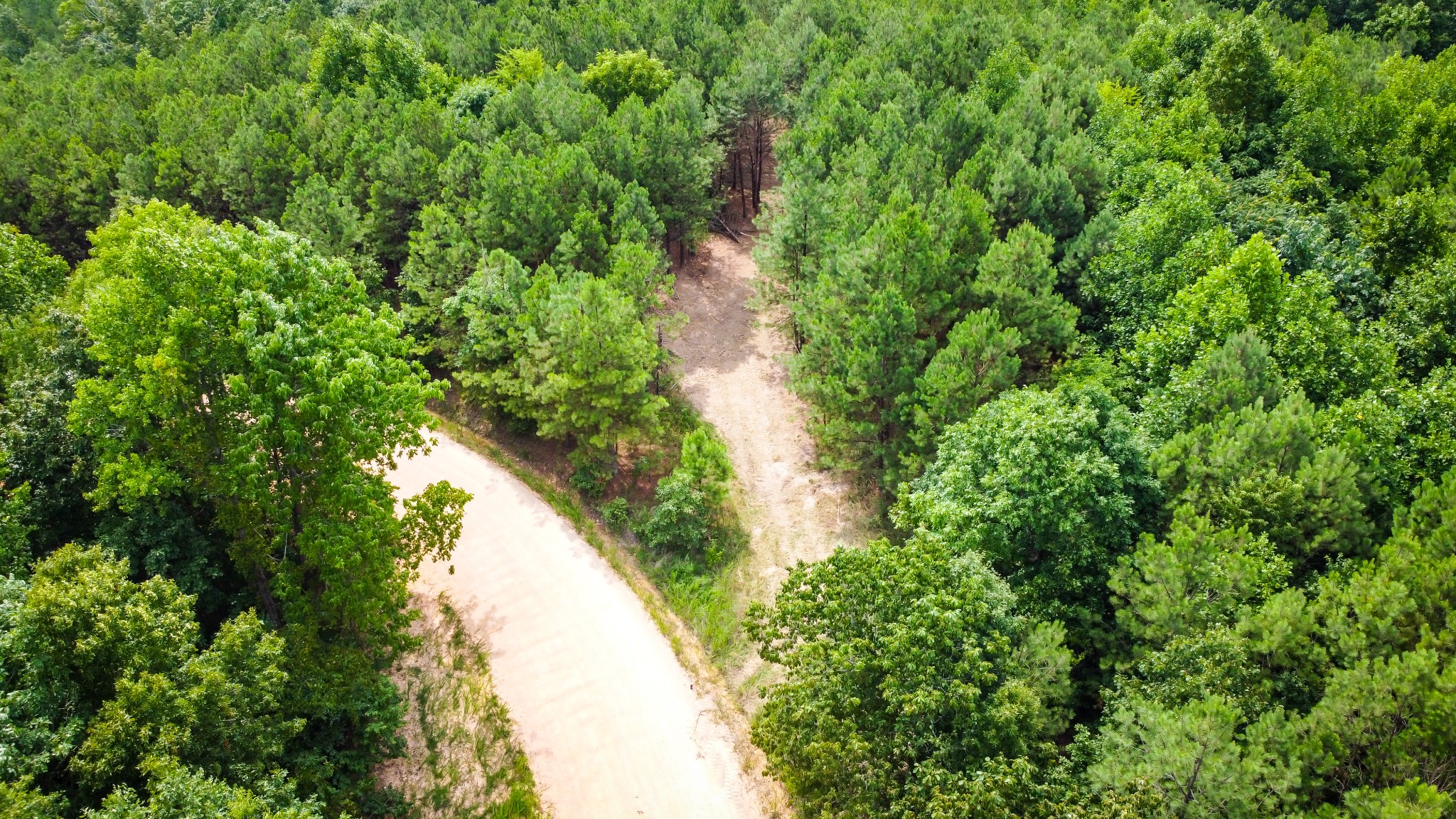 Image 7 of 9 For 0 Falls Branch Road